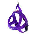 EZYDOG Quick Fit Harness Purple Color 快套式胸背帶(紫色) XL